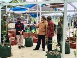 Buah Anggur Eropa di Green Hose Edukasi Desa Batujajar timur
