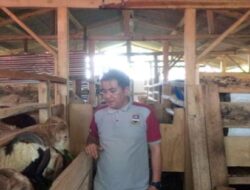 Pemeliharaan Ternak Ketahanan Pangan Desa Mekarwangi Kec.Lembang Kab.Bandungbarat