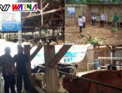 Ketahanan Pangan Di Desa Wangunsari-Lembang