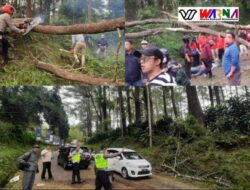 Unsur TNI-POLRI Lakukan Pengamanan Dengan Adanya Pohon Tumbang Di Wilayah Desa Cikole-Lembang