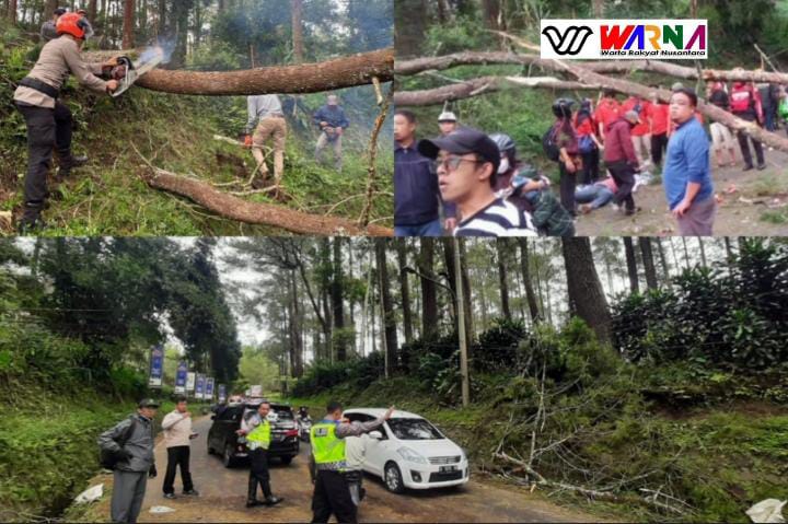 Unsur TNI-POLRI Lakukan Pengamanan Dengan Adanya Pohon Tumbang Di Wilayah Desa Cikole-Lembang