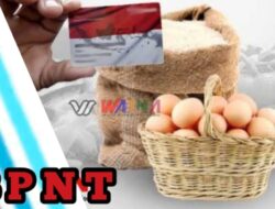 Diduga Seperti Ada Pemainan Agen, Bpnt 2 bulan di Desa Giriasih di Potong Per KPM 20 Ribu.