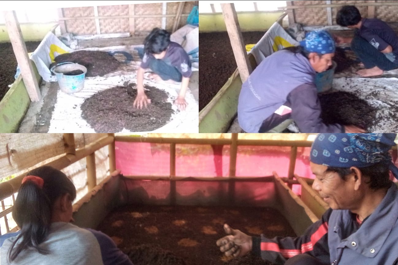 Agus” Warga Desa Jayagiri Hanya Dengan 60Rb Bisa Mendirikan Ternak Cacing