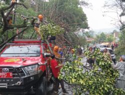 Akibat Longsor Pohon Bambu Tumbang Tutupi Jalan Raya Utama di Cempaka Mekar Padalarang
