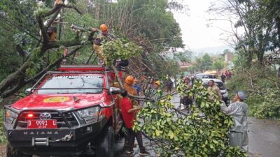 Akibat Longsor Pohon Bambu Tumbang Tutupi Jalan Raya Utama di Cempaka Mekar Padalarang