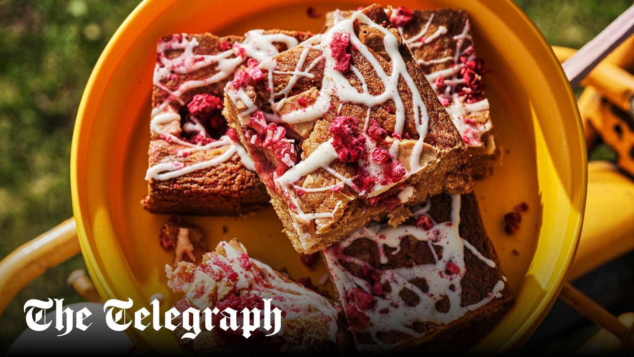 Blondie malt dengan resep raspberry