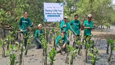 Financial institution Indonesia Dukung Program Penanaman 20.000 Pohon Mangrove