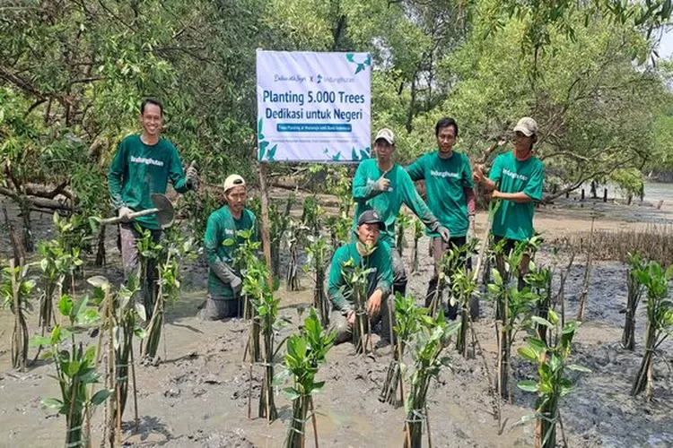 Financial institution Indonesia Dukung Program Penanaman 20.000 Pohon Mangrove