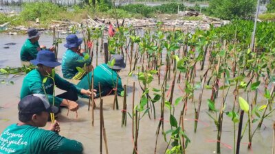 Melindungi Hutan: Kolaborasi Perusahaan dalam Penghijauan dan Mitigasi Iklim