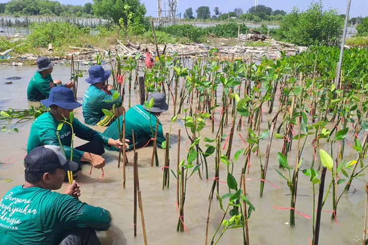 Melindungi Hutan: Kolaborasi Perusahaan dalam Penghijauan dan Mitigasi Iklim