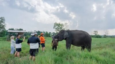 Kerjasama Lindungi Hutan dan Taman Nasional Method Kambas untuk Konservasi