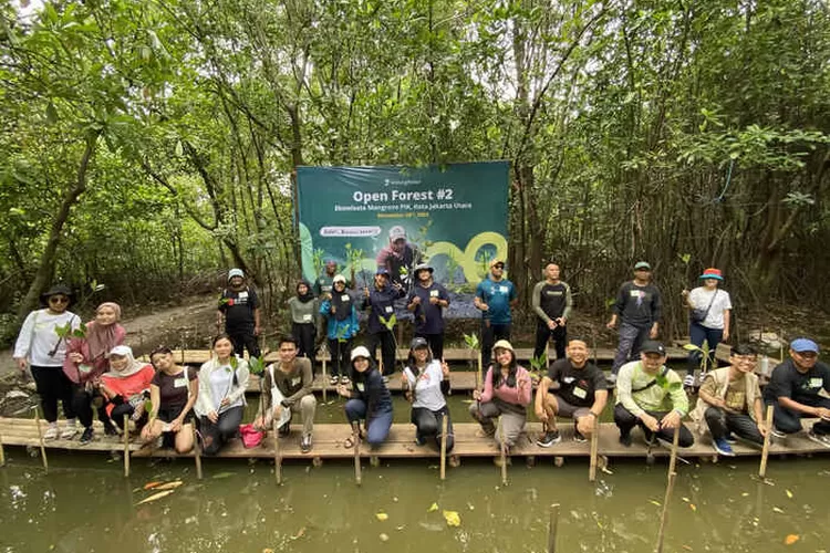 Lindungi Hutan Gelar Hutan Terbuka #2 di Ekosistem Mangrove