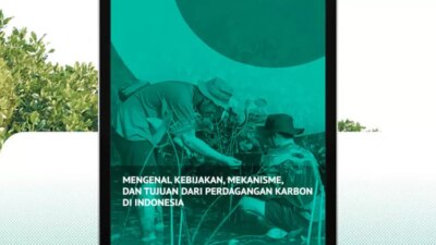 Memahami Skema Perdagangan Karbon di Indonesia