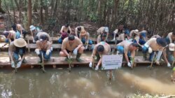 ProtectForest Gandeng PT Panin Asset Control untuk Penanaman Mangrove