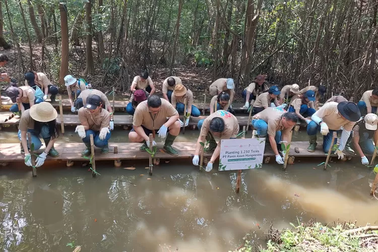 ProtectForest Gandeng PT Panin Asset Control untuk Penanaman Mangrove