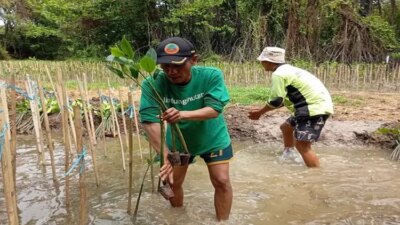 Melindungi Hutan Tanaman 978.000 Pohon di Indonesia