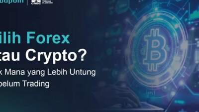 the Forex market vs Crypto: Mana yang lebih beruntung untuk berdagang?