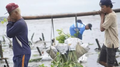 Protikihutan menyajikan laporan mempengaruhi untuk mengukur mempengaruhi keberlanjutan