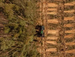 Conversation Conversation Koletisasi Anti-Defortes