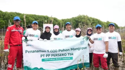 PTPP menanam 1.000 hutan bakau di Tambakrejo, mencegah abrasi dan perubahan iklim