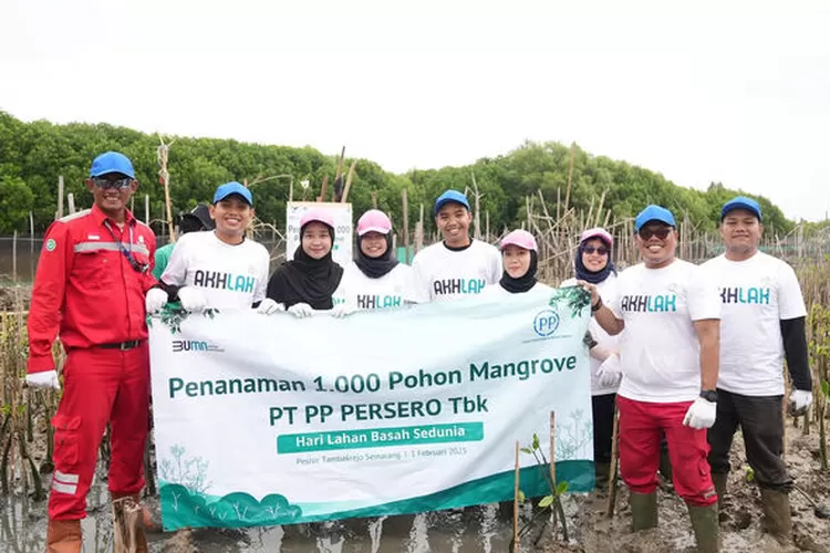 PTPP menanam 1.000 hutan bakau di Tambakrejo, mencegah abrasi dan perubahan iklim