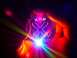 Siapa pemegang XRP terbesar? Ini adalah distribusinya!