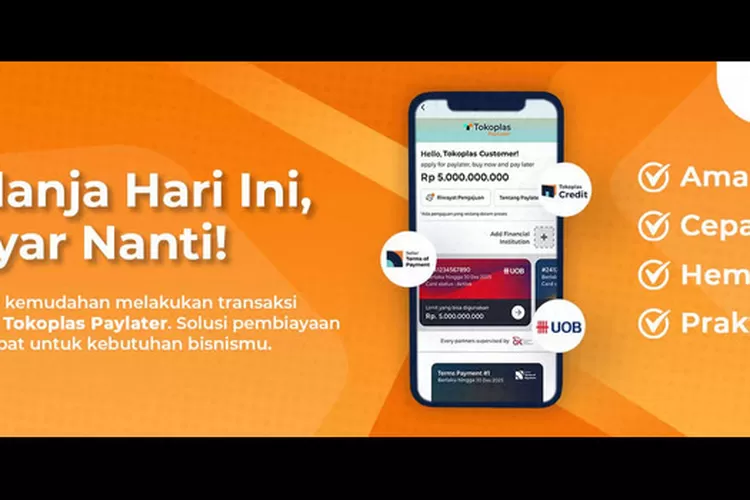 Toksisitas Paylater: Pinjaman Modal Kerja yang Terjangkau