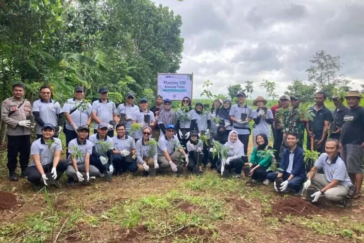 PT PHC Indonesia Menanam 500 Pohon Alpukat di Subang