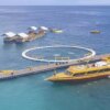 Dermaga Terapung Modular: Solusi Cerdas untuk Bisnis Watersport