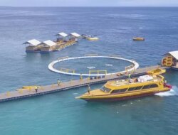 Dermaga Terapung Modular: Solusi Cerdas untuk Bisnis Watersport