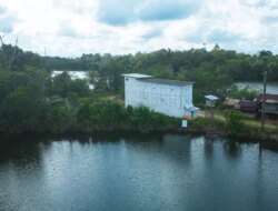 Echo Nusantara: Top class Natural Swallow Nest