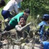 Protikihutan apresiasi petani pohon sebagai pahlawan hijau