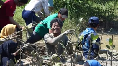 Protikihutan apresiasi petani pohon sebagai pahlawan hijau