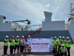 Pelindo Multi Terminal Menyajikan Pemuatan dan Bongkar 1.213 Sapi Perah Sapi