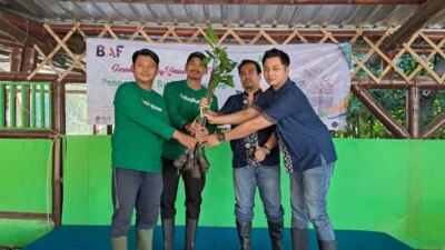 1 juta pohon ditanam untuk mengembalikan ekosistem