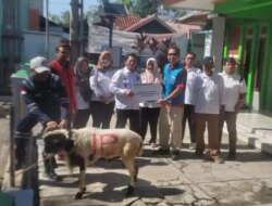 Pln ip ubp jatigede mendistribusikan hewan qurban