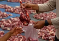 Bisakah daging pengorbanan diberikan kepada non-Muslim? Ini adalah penjelasan lengkap tentang hukum Islam selama Idul Fitri 2025