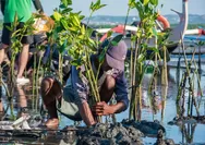 Kolaborasi hijau adalah kunci untuk melindungi alam