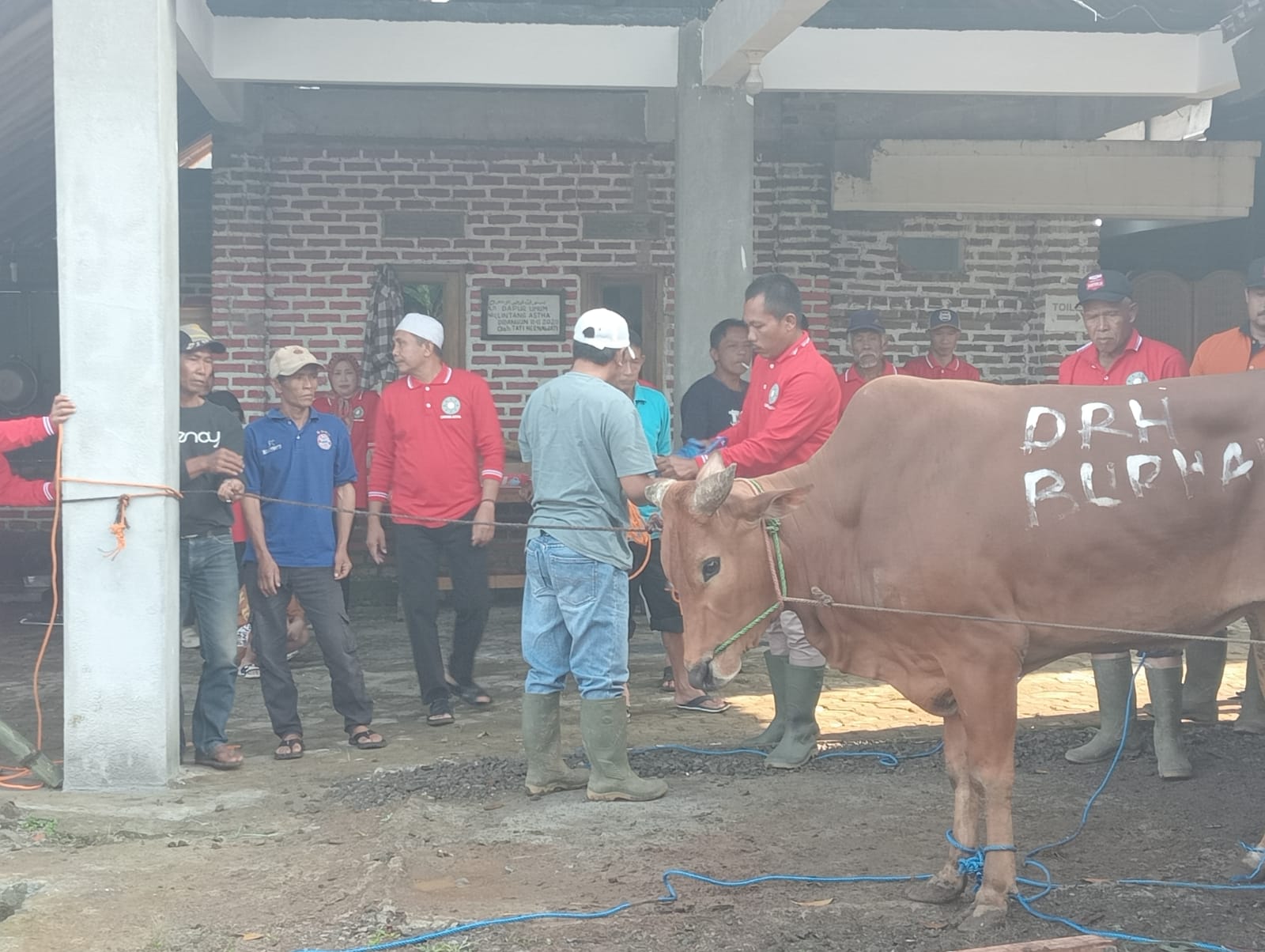 Khidmat dan Penuh Berkah, Masjid Lintang Astha Salurkan 600 Paket Daging Qurban di Idul adha 1446 H