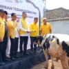 43 Hewan Kurban Disalurkan Golkar KBB dan GSP Property, Komitmen Sosial dan Politik Menguat