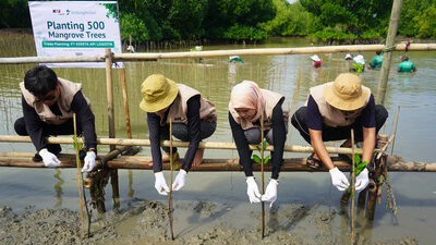KAI Logistik Tanam 500 Mangrove: Dorong Logistik Berkelanjutan