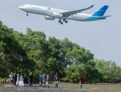 Rehabilitasi bakau untuk mengatasi kerusakan pantai 2025