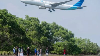 Rehabilitasi bakau untuk mengatasi kerusakan pantai 2025
