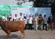 Pelindo Terdistribusi Hewan Korban ke Berbagai Wilayah Indonesia Menyambut Idul Fitri