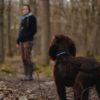 Tips Trekking ke Gunung Bareng Anjing Kesayangan