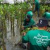 Mengajak Publik Berperan Aktif, LindungiHutan Perkuat Gerakan Lingkungan Lewat Kolaborasi