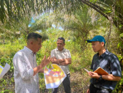 REA Berdayakan Lebih dari 600 Petani Swadaya di Kalimantan Timur untuk Kepatuhan EUDR dan Sertifikasi RSPO dengan Dukungan Teknis dari KOLTIVA