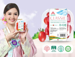 Artis Asty Ananta Hadirkan Cherry Tomato Stevia Premium Pertama di Indonesia dengan Inovasi teknologi Infusion