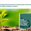 Implementasi ESG Lewat Mangrove: LindungiHutan Rilis eBook Panduan untuk Dunia Usaha di Tengah Krisis Iklim