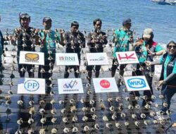 PTPP Tanam 2.500 Bibit Terumbu Karang di Banyuwangi; Wujud Nyata Komitmen Lestarikan Ekosistem Laut Indonesia